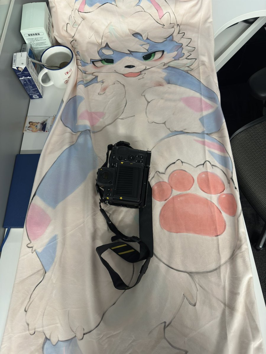 5kfo了！🥰😍😚关注+转发+评论，抽两条等身抱枕！5月16日开！