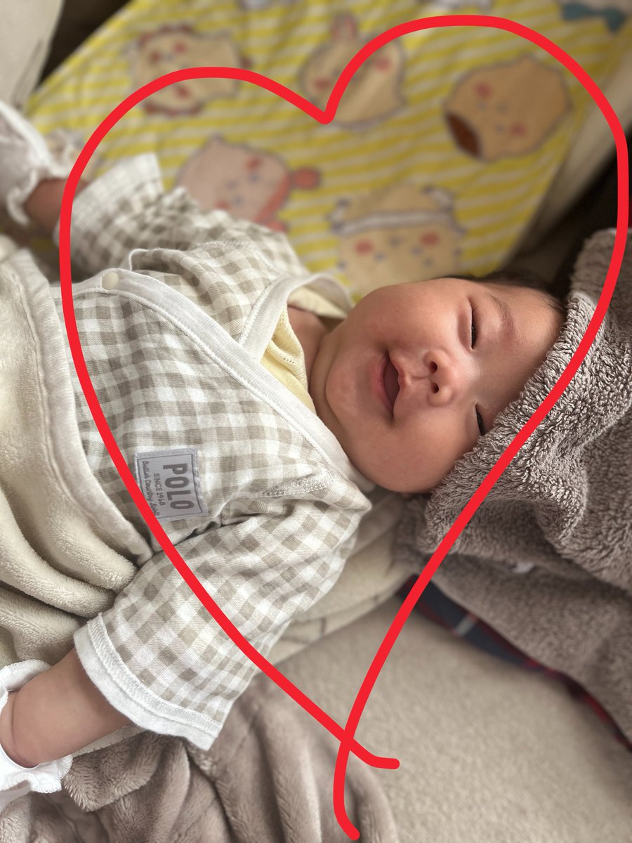 柚木彩見🧸❤️🎀 tweet media