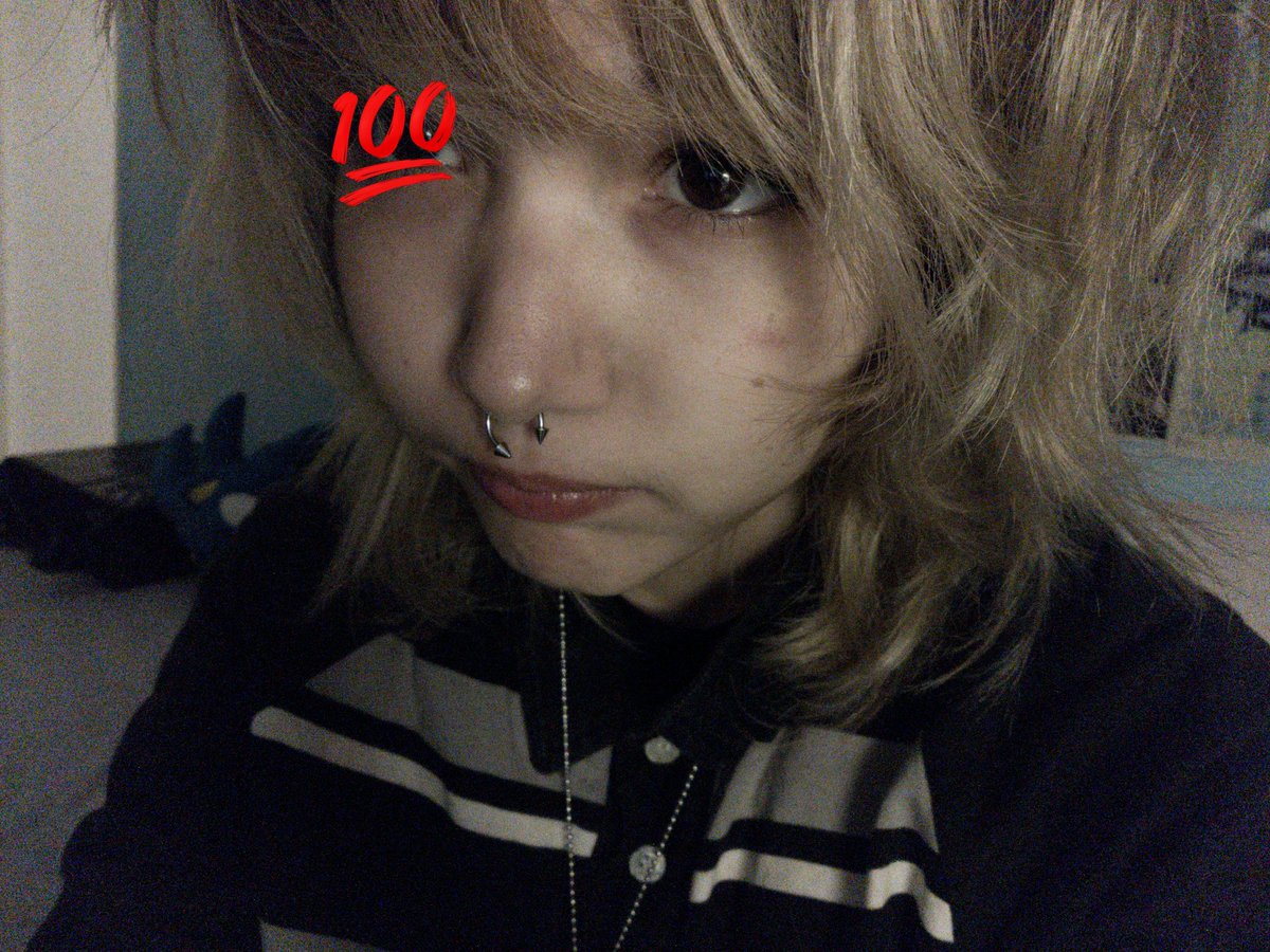 alva ᓚ₍ ^. .^₎ tweet media