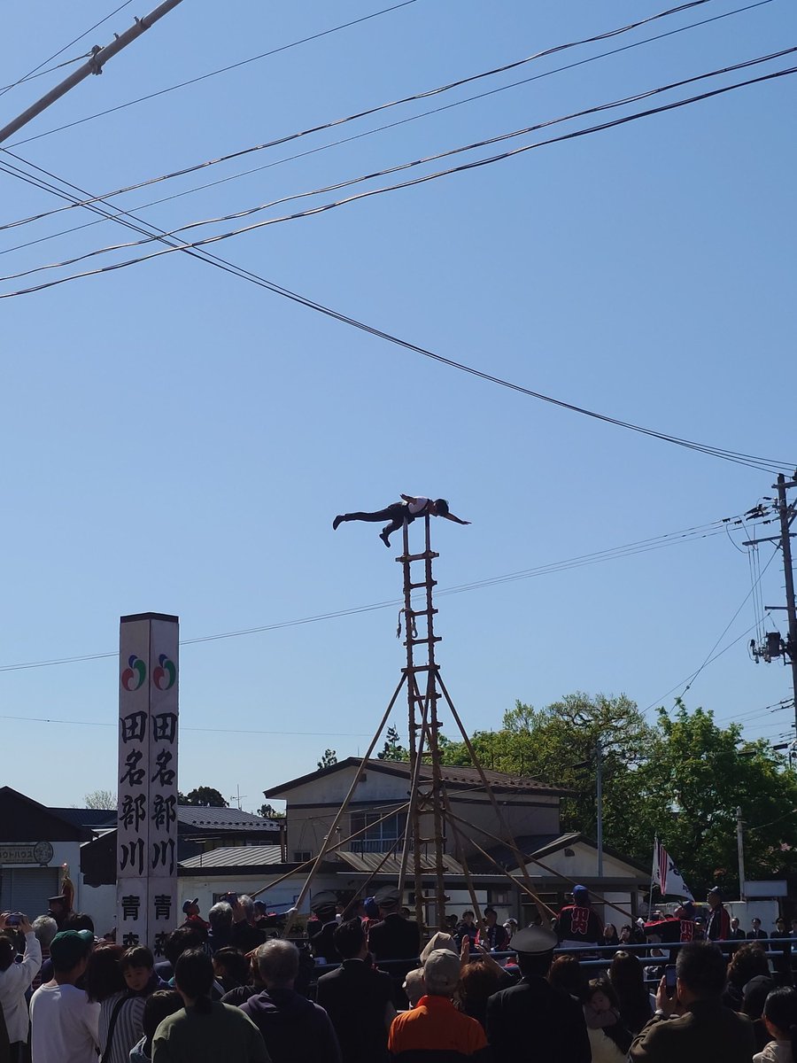 ハタ坊 tweet media