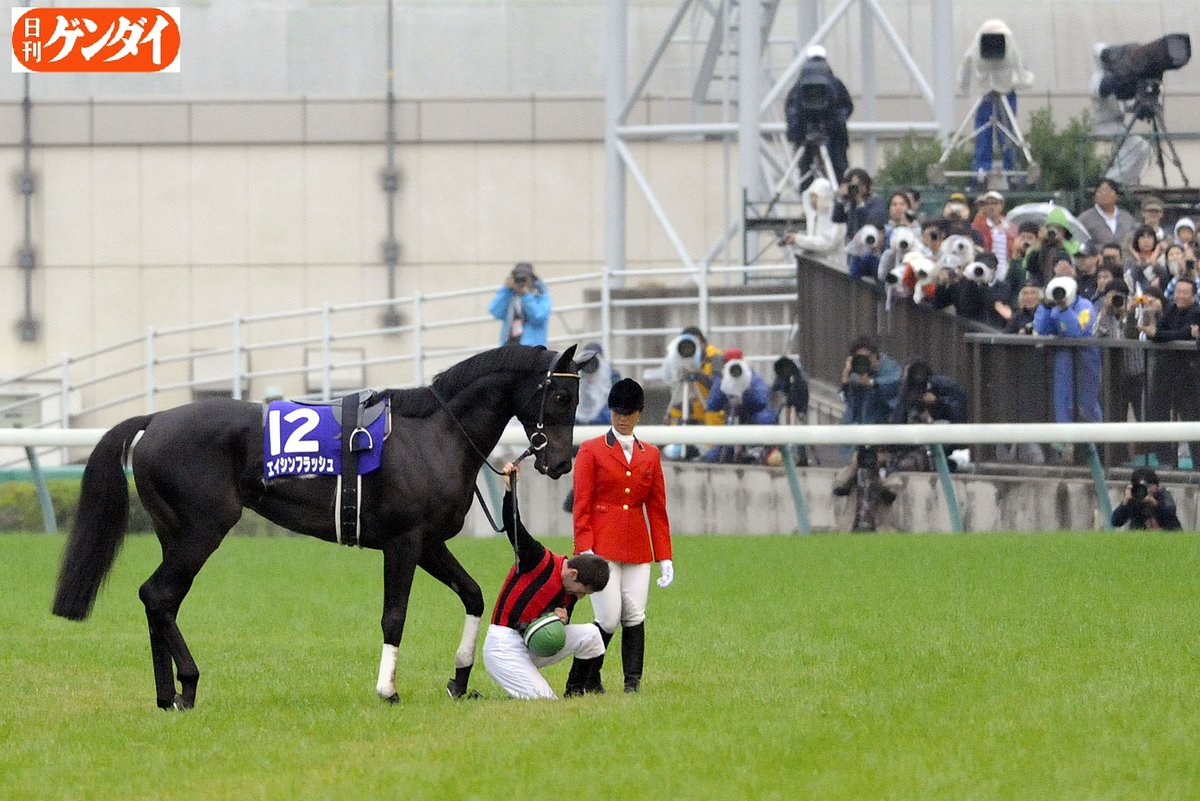 日刊ゲンダイ 競馬 tweet media