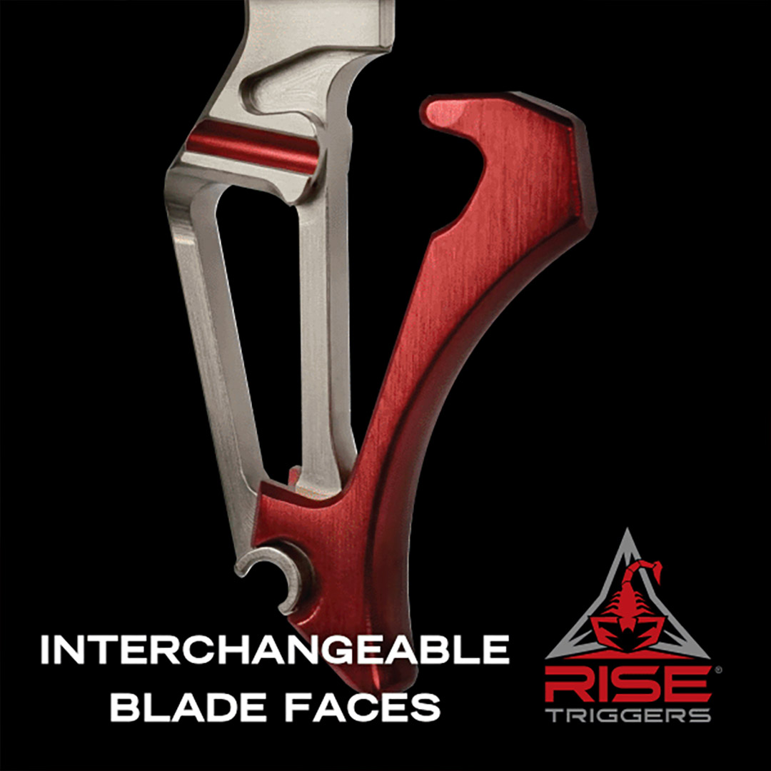 Rise Armament tweet media
