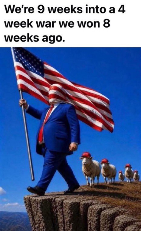 TPBlue 🇺🇸🦅 tweet media