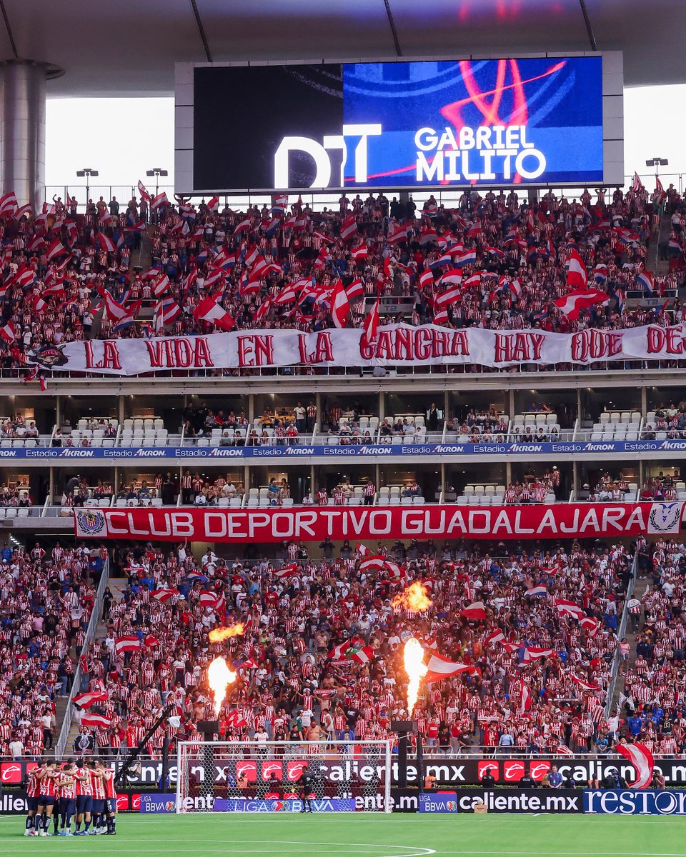 🫂 EQUIPO Y AFICIÓN CONTRA TODO 🔴⚪️