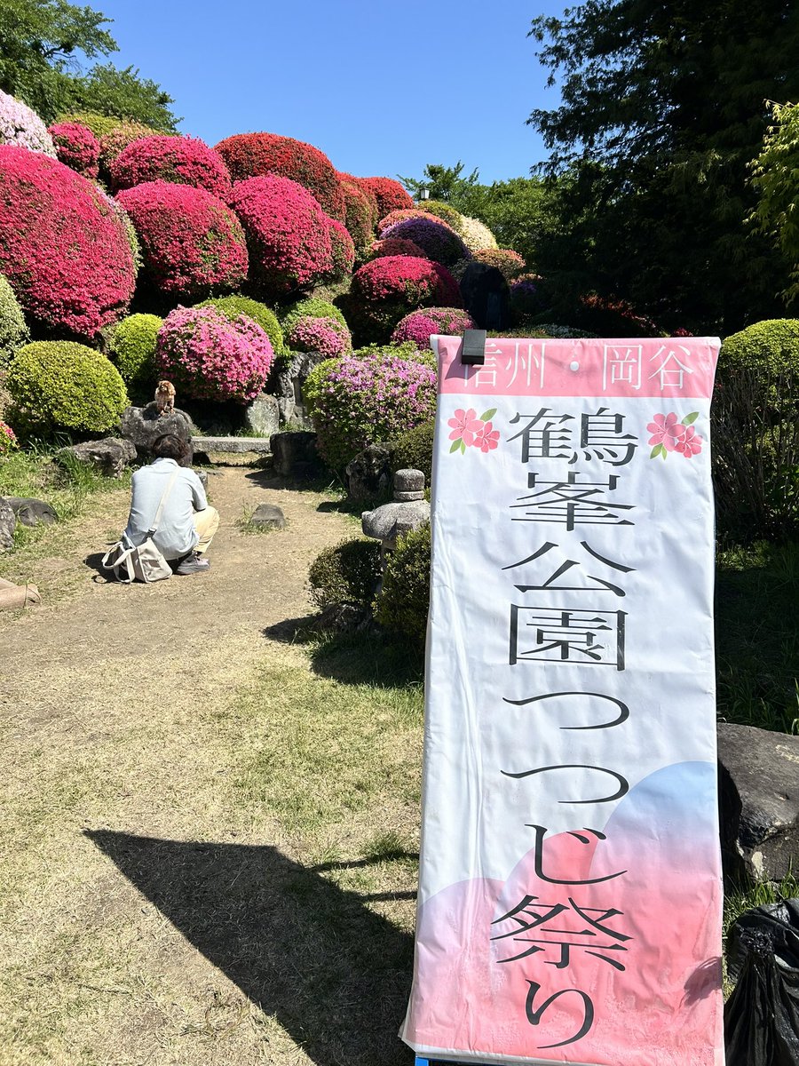 おいすわ tweet media