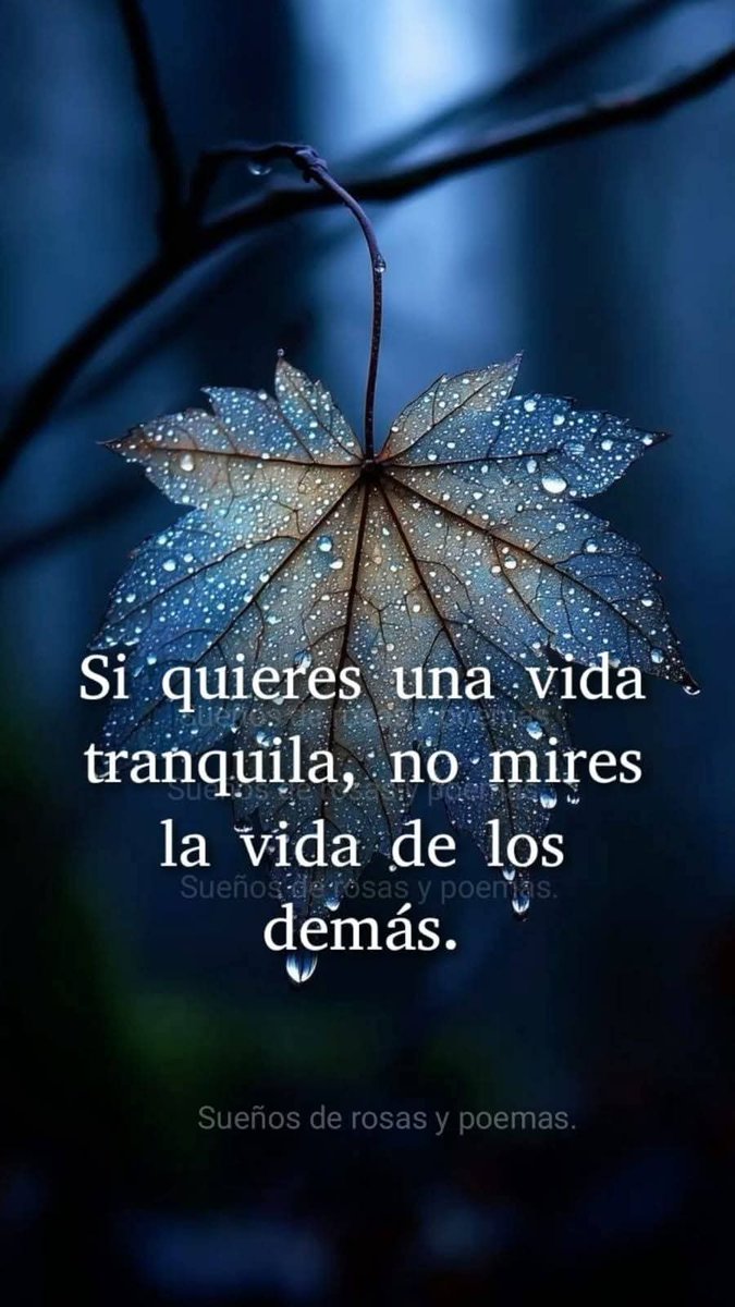Margari78540625's tweet photo. https://t.co/cksBabdO1I