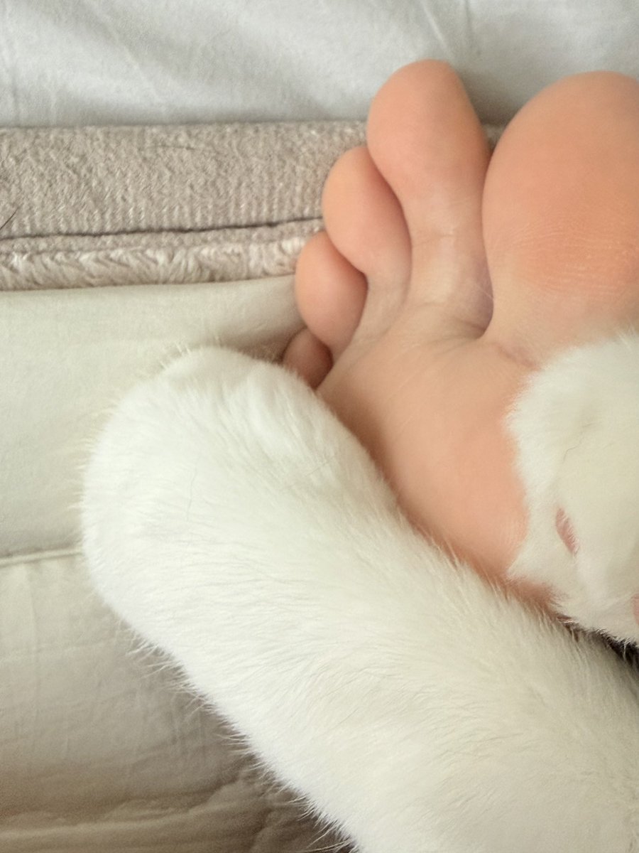 🌿용맹하고 건강한 세치☘ tweet media