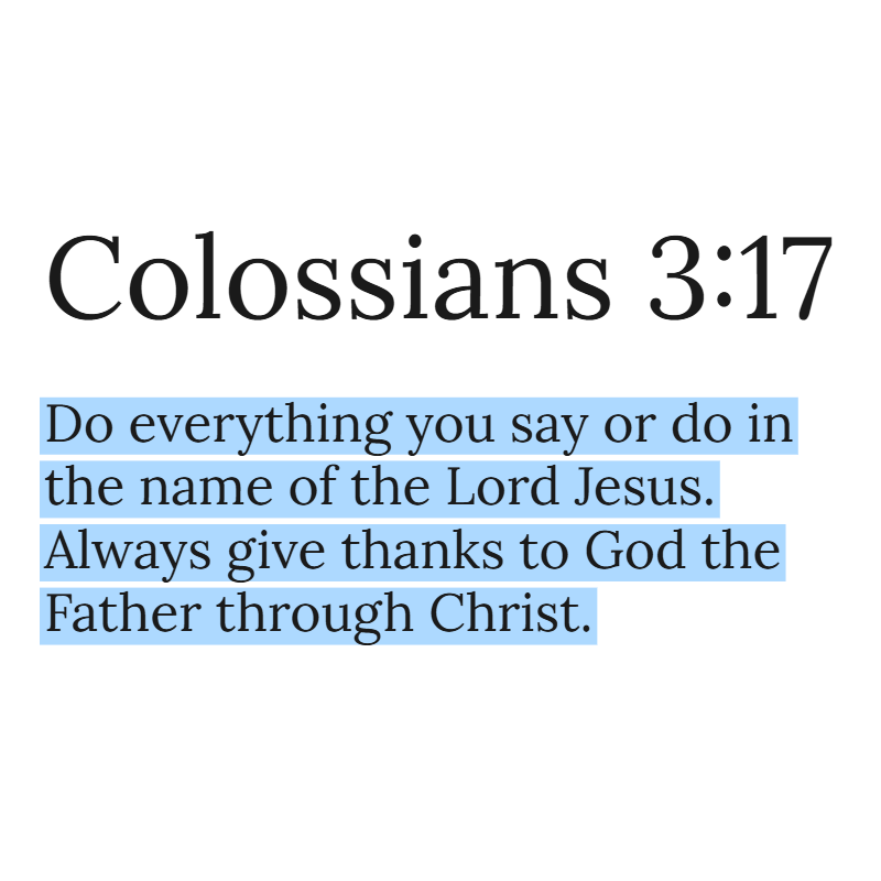 Holy Bible tweet media