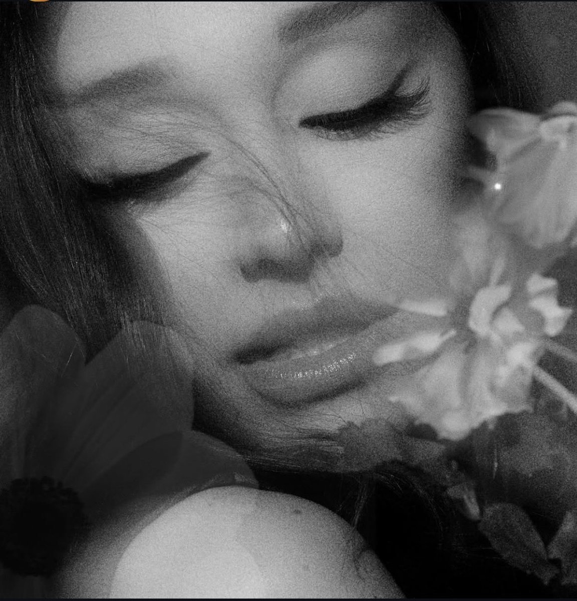hmaheart's tweet photo. which aesthetic do u like more positions or petal ꕤ https://t.co/6CRRJ0ni55