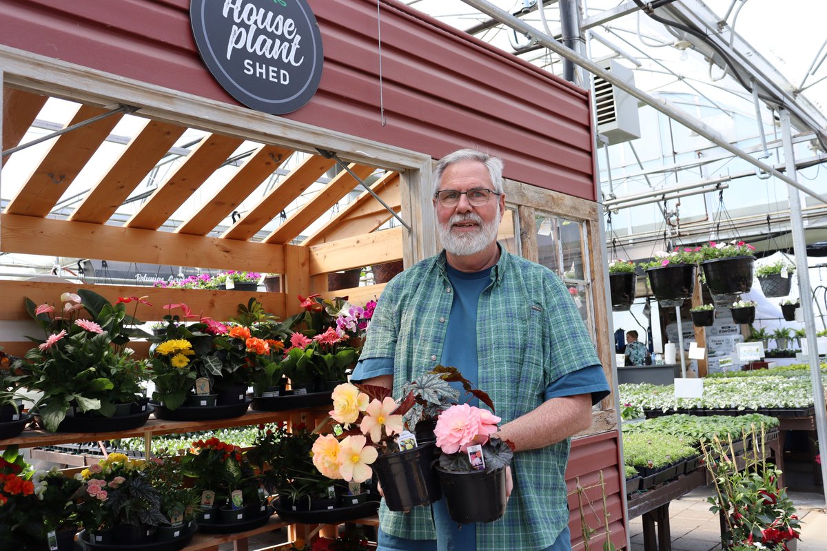 collzac's tweet photo. Beguiling begonias -- could begonias be the most beautiful flowering annual of them all? This garden centre owner thinks so! Step inside his greenhouse &amp; see his top recommendations: https://t.co/9NZVnwta09

#begonias #gardeningtips #gardencentre #containers #flowers #gardener https://t.co/X1z1j3bw9B