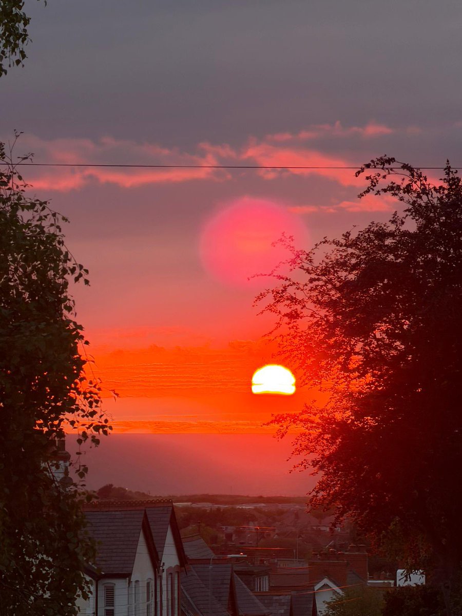 🌅Jessy🌅 tweet media