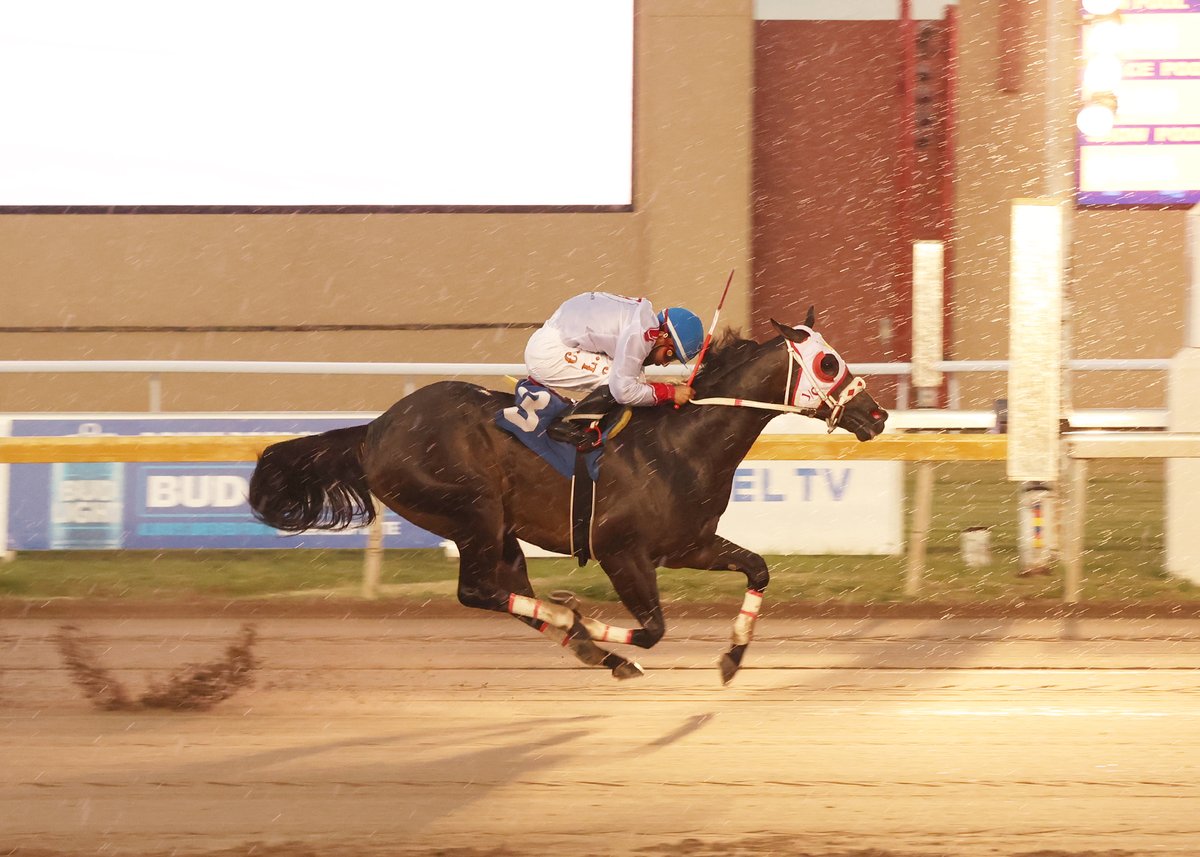 HHP_RMP's tweet photo. Henry Hudson’s at Remington Park is always a good idea. 🍻

Grab a drink, order your favorite pub food, and hang out while live Quarter Horse racing starts at 6PM, our doors open at 5PM.

Free parking • Free admission https://t.co/FXhGnF3B7h