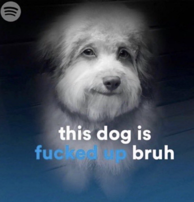 goobersweber's tweet photo. get that stupid ass skull dog off my tl bro https://t.co/xqH8Ph2zh2
