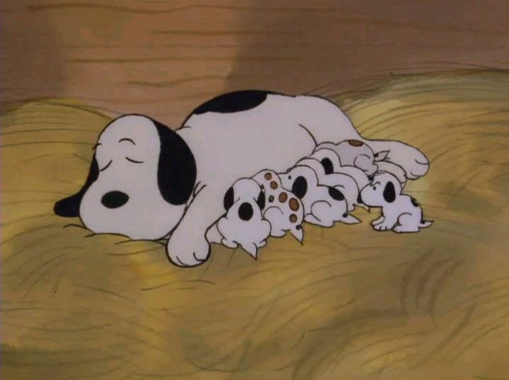 Daily Snoopy tweet media