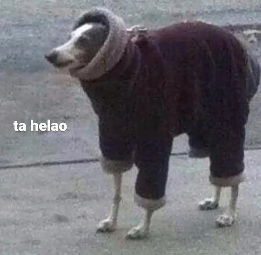 hace 1 semana no salgo de mi casa más q para ir al terciario y hace 1 mes no veo a mis amigas,tengo q cortar mi relación con la cama