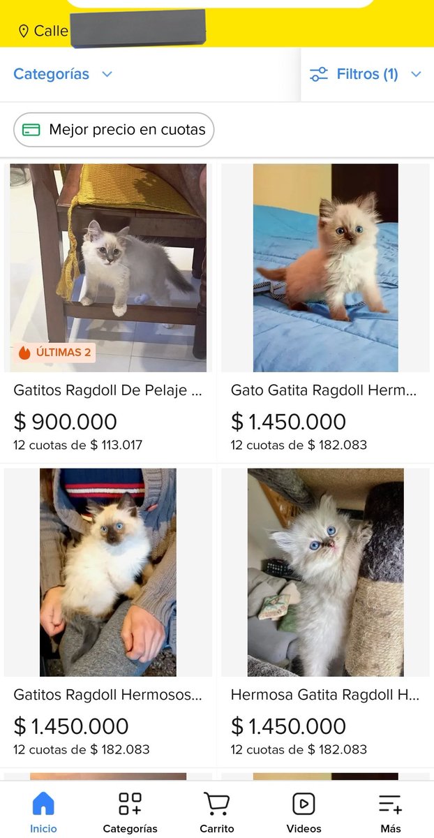 Si hay algo que nunca entendí como nadie pide que se elimine y prohiba la venta de animales en <a href="/Mercadolibre/">Mercado Libre</a> y otras aplicaciones de compra y venta. Todos sabemos como funcionan la mayoría de criaderos