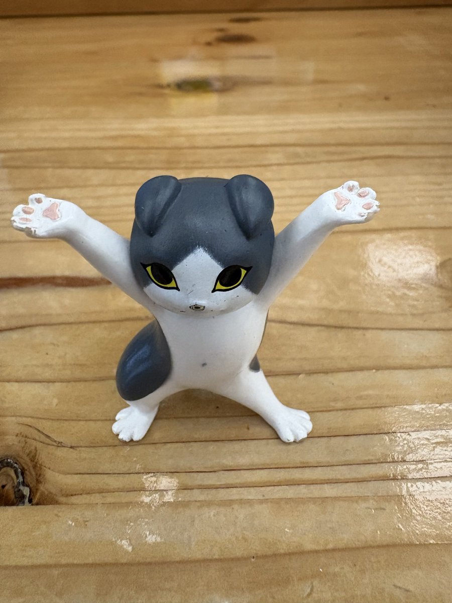 コロ😸マルチライセンス診断士 tweet media