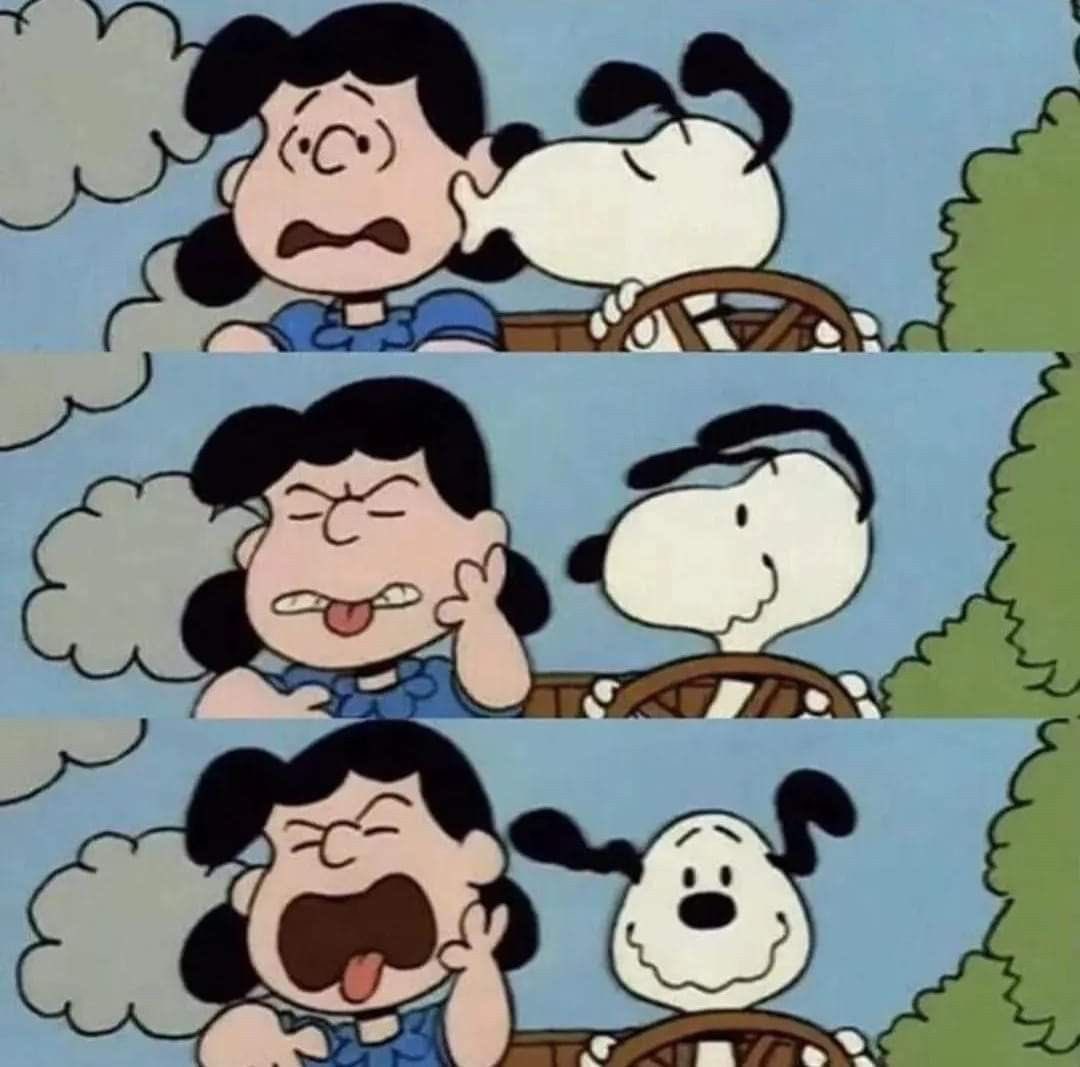 DailySnoopys's tweet photo. https://t.co/YQRROWsRd8