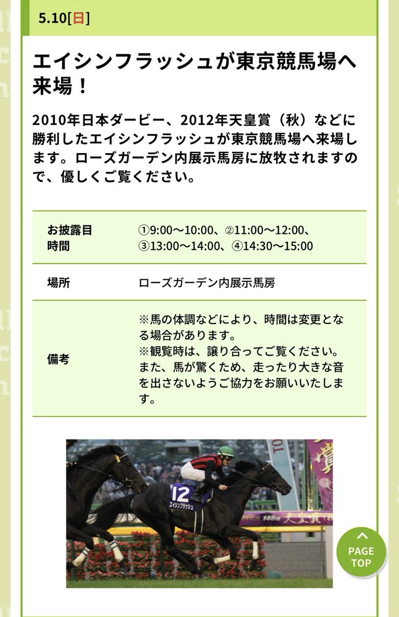 日本ダービー馬エイシンフラッシュが16年ぶり東京競馬場に凱旋
