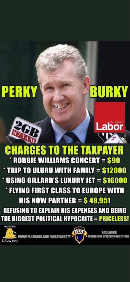 The Labor Party is filled with theives &amp; liars.
In fact both major political parties here in Australia are corrupt &amp; traitorous ‼️
Check out Burka ‼️