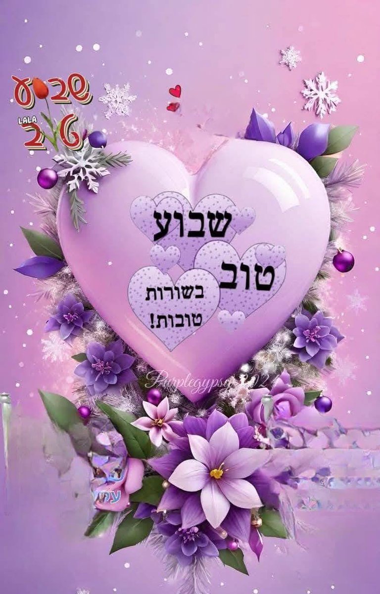 Marilyn Av 🇮🇱✡️ tweet media