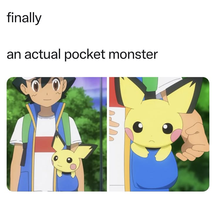 Pokemon Lovers tweet media