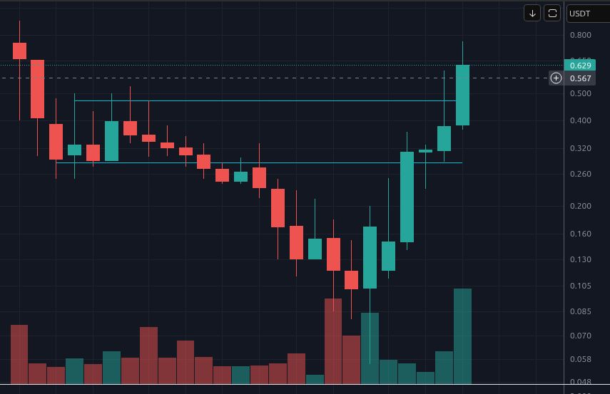 fbenderBR's tweet photo. Already the week with the highest volume ever, and there's still tomorrow. It's a good feeling to be living this. #YCash #YEC https://t.co/kN7dkjYZyH
