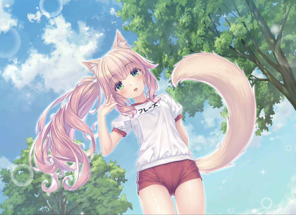ichikapup's tweet photo. she’s so cute ughhh i might cave and get her (*꒦ິ꒳꒦ີ)* https://t.co/x8pndHlo6q