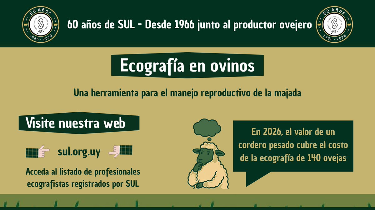SUL_uy's tweet photo. 🔔 Importancia de la ecografía en el manejo preparto 👉 El estado corporal de la oveja va a determinar el peso al nacer de los corderos, así como su supervivencia. 🐑 🌄

💻 Más información en https://t.co/00kXaCd3NU https://t.co/0ZCPIhiR4g