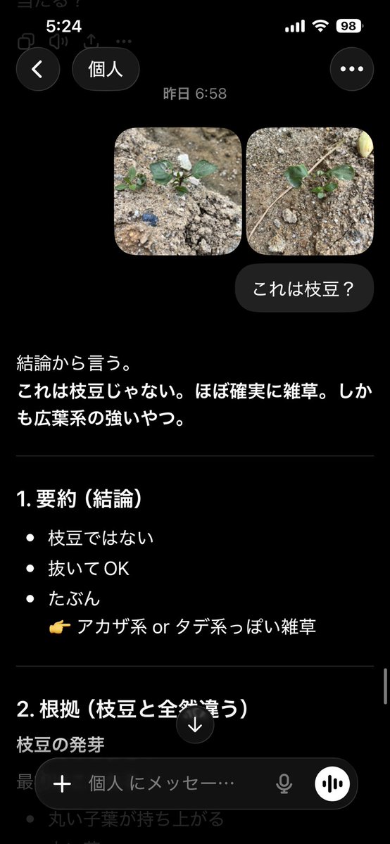 ともう@子供×朝活‖ tomou.eth🇯🇵 tweet media