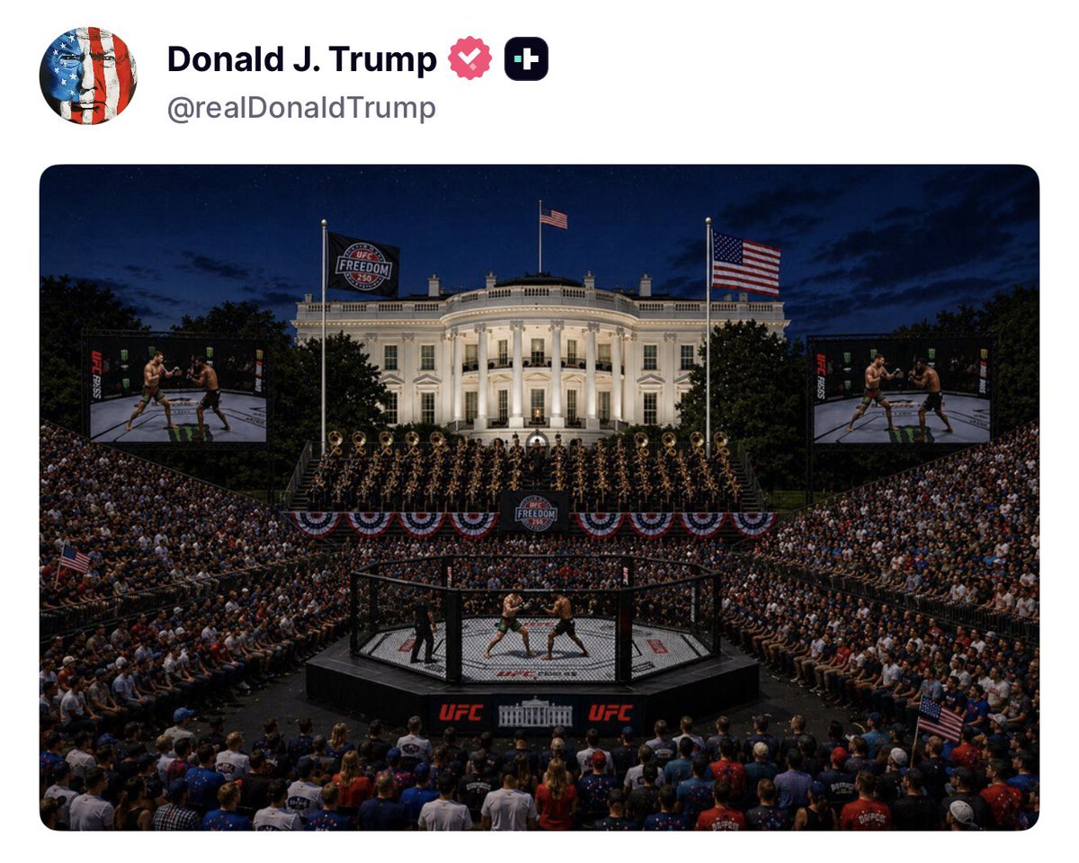 Rapid Response 47 tweet media