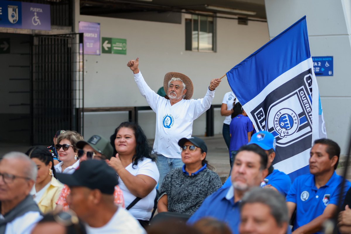 Gallos Blancos 🐓 tweet media