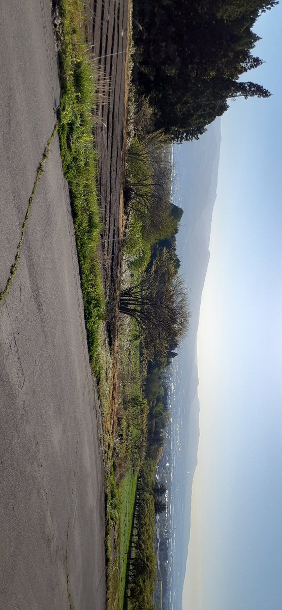 CAAD_SA's tweet photo. 山到着🚲 https://t.co/1z2a5QqUOB