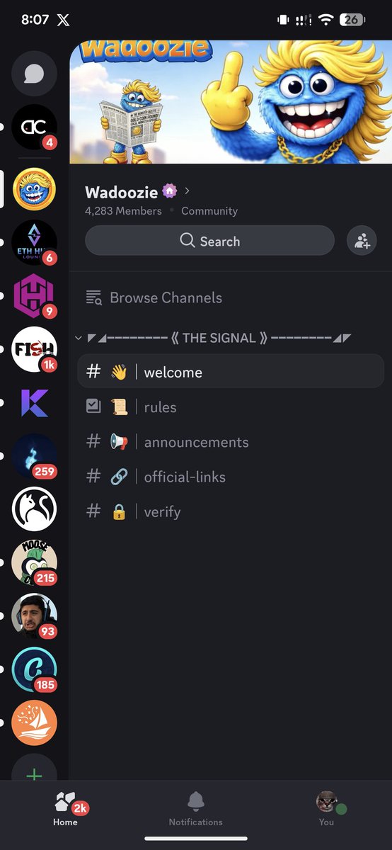 fikriverse 🌍 tweet media