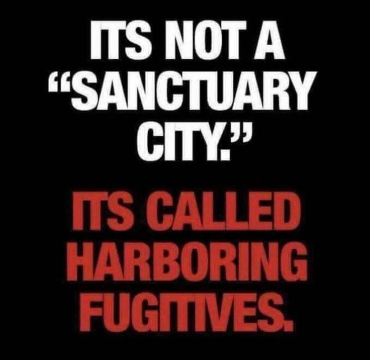 MAGA CHI-TOWN ARMAGEDDON MAYHEM 😈 tweet media