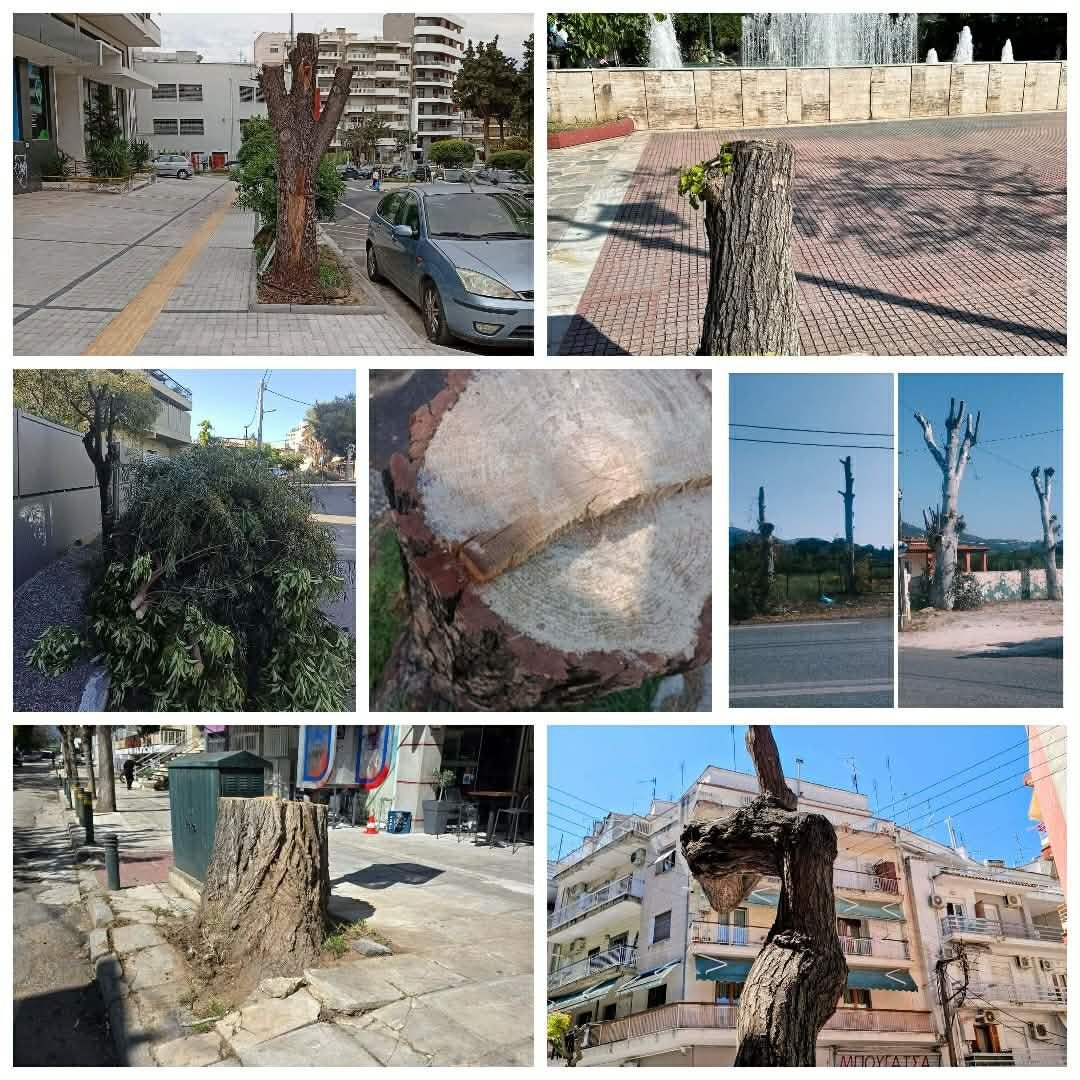 Παντού σφαγές πράσινου.
Στη Θεσσαλονίκης έχουν ανοιχτό πόλεμο με το πράσινο οι αχρηστοι με τα φονικά συνεργεια, εν πολλοίς όμως κι ο κόσμος τα ίδια σκατα είναι.