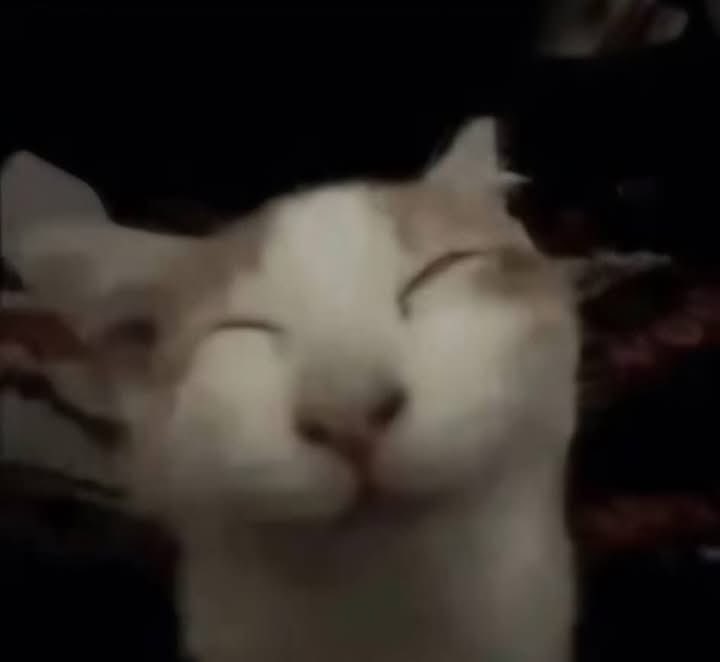 Canpalolxdxd's tweet photo. Holaaaaa, quieren conté? https://t.co/ieazgZrypz