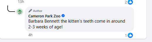 cody tweet media