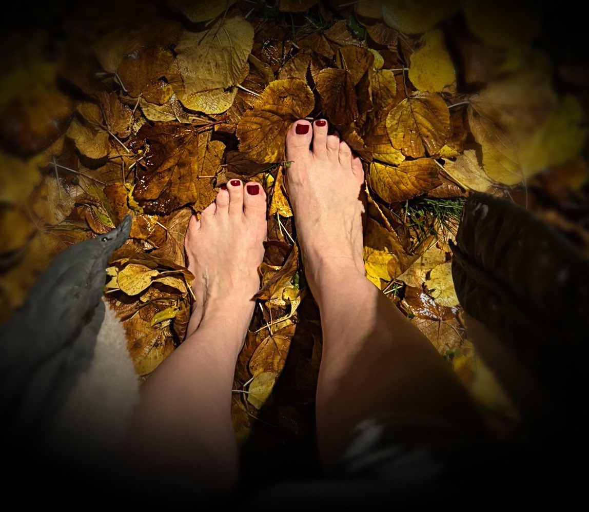 Middle Aged Feet tweet media