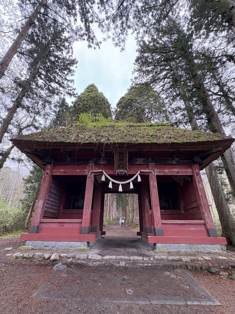 hurve's tweet photo. #戸隠神社 #五社巡り

#桑田佳祐 #夏祭りツアー
シリアルコードでもよろしくお願いします🙏 https://t.co/rIAITgbrAc