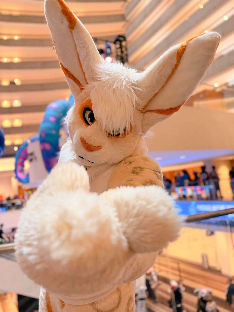 TangoBuns's tweet photo. Hellooooo #FWA!! https://t.co/tjOcK9ofZs
