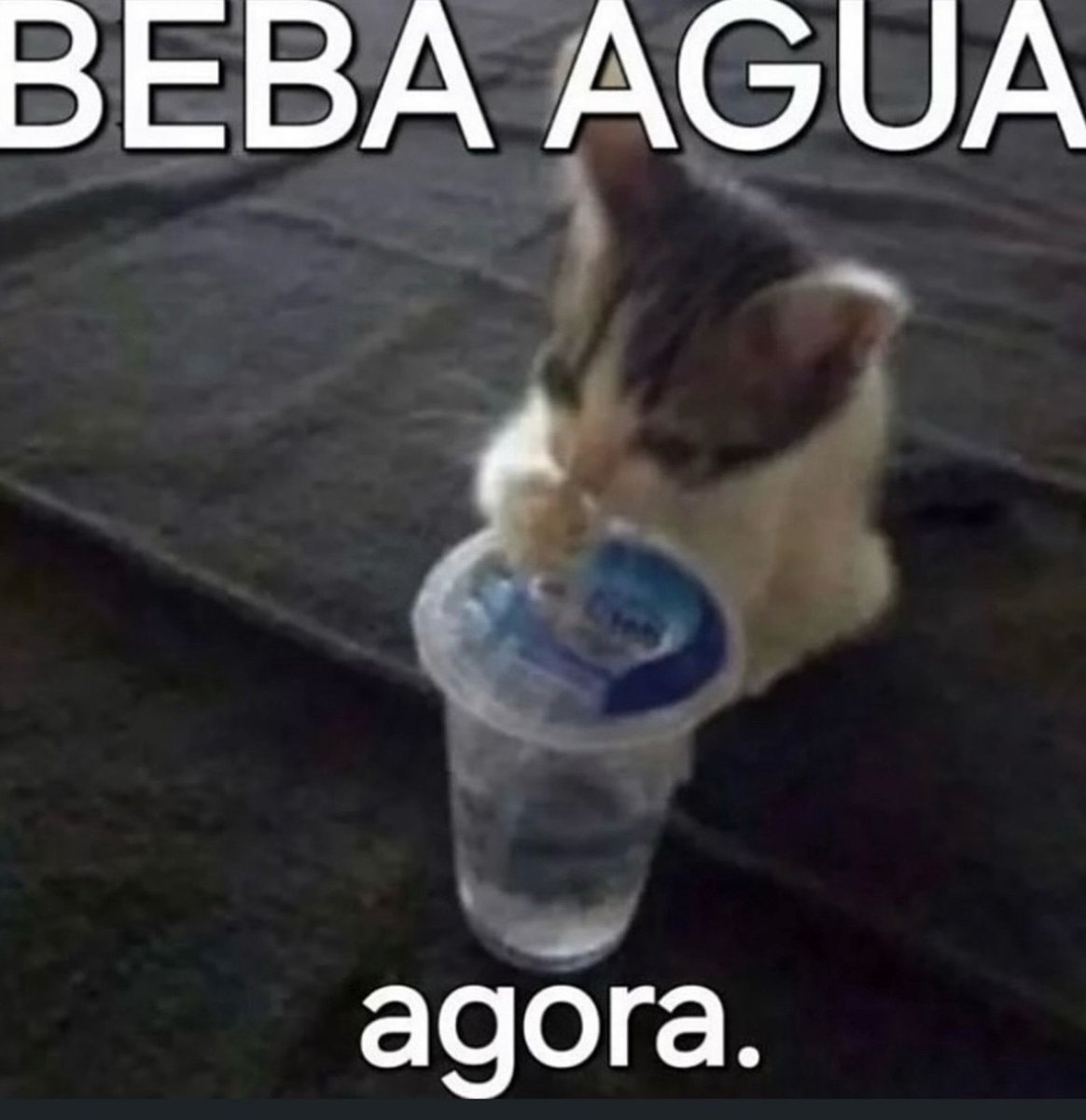 Traficante de Memes tweet media