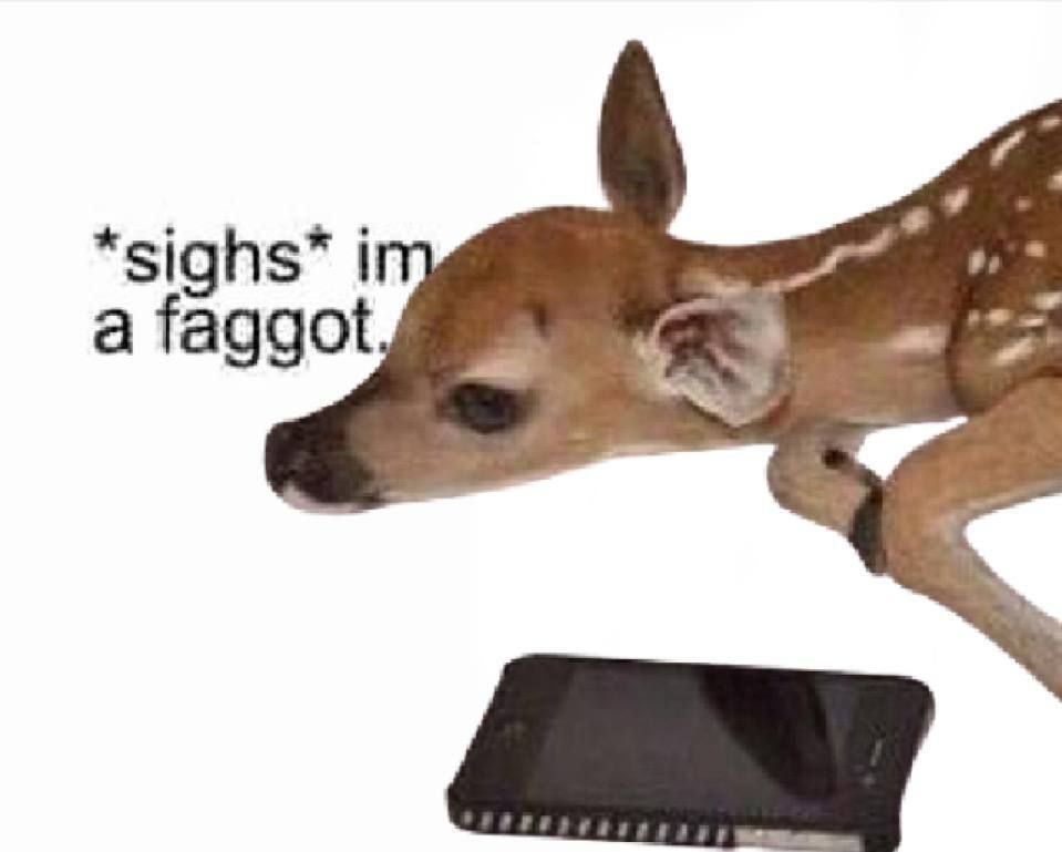 Deer in Places they Shouldn't Be tweet media
