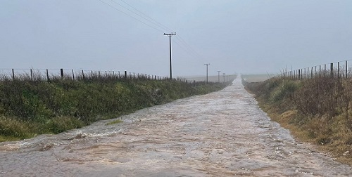 JNFNetJ's tweet photo. TEMPORAL: «HOY, LO MÁS COMPLICADO ES SANTAMARINA». Leer y escuchar nota en: https://t.co/mFQWIXnbo3 https://t.co/EXjR6LQxHw