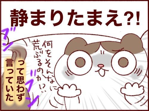 ゲームアニメ三昧ときどき毛振り。登校自粛になった姉達の話 
#フランダースの三姉妹
#長女 #12歳
#次女 #10歳
#過去記事紹介
元記事↓ 
https://t.co/4aWOmifHax 