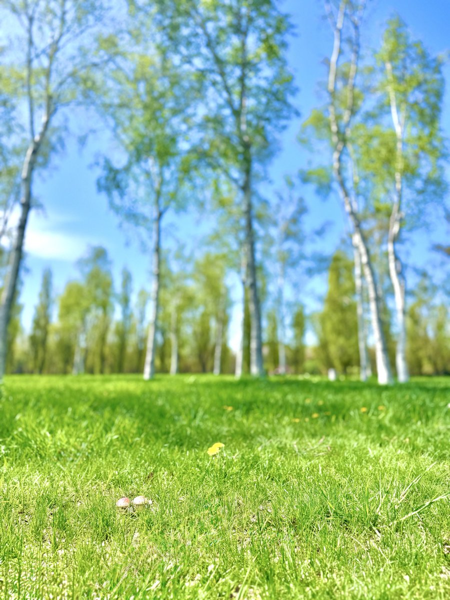 爽やかな風…新緑の香り…好き☘️