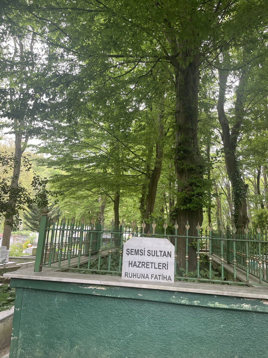 Arzu536413's tweet photo. @mrtarmutcuoglu https://t.co/adum604T1t