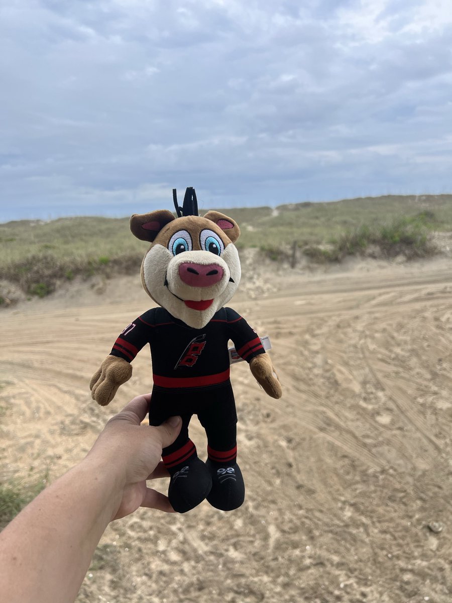 jamhunter4's tweet photo. Stormy in beach mode but watching the Canes from Cape Lookout. Let’s Go Canes! @Canes #stormwarning #carolinahurricanes @TrippTracy @mikemaniscalco https://t.co/xUClB1skzM