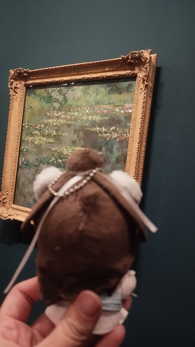 lembrei que levei meu mini xie lian para ver as ninféias do monet