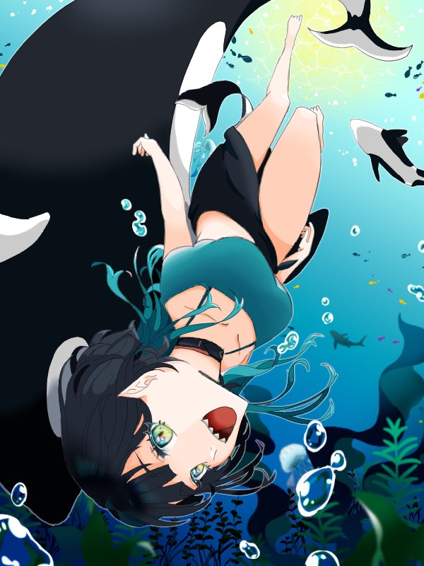 鯱月たゆた💞🎨迷走中 tweet media
